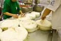 Производство сыра «Фонтина» в Аосте (Италия)