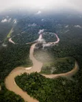 Река Агуарико (бассейн реки Амазонка, Эквадор)