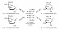 Равновесие между структурными изомерами глюкозы в водном растворе