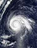 Тайфун «Хигос» (Тихий океан). 2002. Вид из космоса