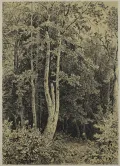 Иван Шишкин. В лесу. 1864