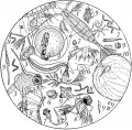 Планктон Чёрного моря: 1–3 – ракообразные и их личинки; 4 – икринка рыбы; 5 – аппендикулярия; 6 – личинки моллюсков; 7 – инфузории тинтинниды; 8 – диатомовые водоросли; 9 – динофитовые; 10 – ночесветка