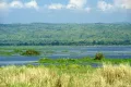 Река Аль­берт-Нил (Уганда)