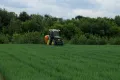 Опрыскивание посевов пшеницы инсектицидами