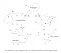 Упрощённая схема биосинтеза эйкозаноидов у млекопитающих и человека
