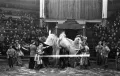 Акробаты на верблюдах Кадыр-Гулям. 1947–1948