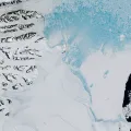 Припай у шельфового ледника Ларсена в Антарктиде