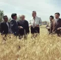 Первый секретарь ЦК КП Казахстана Динмухамед Кунаев (в центре) на хлебном поле совхоза имени Кирова. Талды-Курганская область (Казахская ССР). 1 сентября 1978