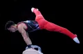 Артур Далалоян во время выступления на Чемпионате мира по спортивной гимнастике. Германия. 2019