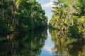 Байю в дельте реки Миссисипи (штат Луизиана, США)
