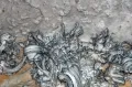 Антолиты гипса на стенке Мамонтовой пещеры. Аппалачи (штат Кентукки, США)