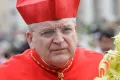 Бывший архиепископ Сент-Луиса кардинал Реймонд Лео Берк посетил мессу Вербного воскресенья на площади Святого Петра в Ватикане. 13 апреля 2014