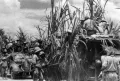 Японские оккупационные войска на о. Ява. Март 1942