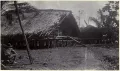 Свайная постройка с крышей из пальмовых листьев. Район реки Флай, Британская Новая Гвинея. Конец 19 в.
