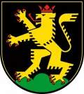Гейдельберг (Германия). Герб города
