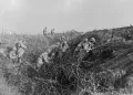 Французские войска в траншеях на Западном фронте. Сентябрь 1917