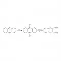 Превращение феназина в 5,10-диоксид феназина с дальнейшим образованием хиноксалин-2,3-дикарбоновой кислоты