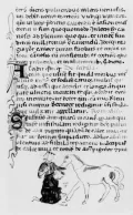 Рифусовский ветеринарный манускрипт из Византии