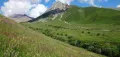 Субальпийские луга и редколесье из берёзы и ивы в Южной Осетии (Дзауский район, окрестности селения Верхний Эрмани)