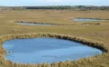 Торфяные болота в пойме реки Глинянка в заповеднике Бастак (Еврейская автономная область)