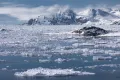 Дрейф льдов у берегов острова Гренландия (Дания)