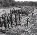 Колонна пленных французов после поражения при Дьенбьенфу. Май 1954