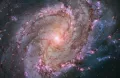 Структура диска спиральной галактики М83