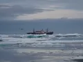 Научно-экспедиционное судно «Михаил Сомов» в море Лаптевых