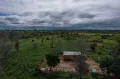 Замбия. Ферма