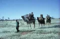 Питьянтьятьяра. Аборигены на перекочёвке с использованием верблюдов