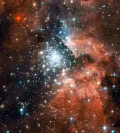 Туманность NGC 3603