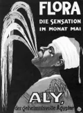 Али, таинственный египтянин, факир и «человек-фонтан». Плакат. Ок. 1915