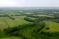Лесозащитные полосы (Тюменская область, Россия)
