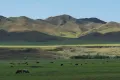 Хребет Хангай. Долина реки Орхон (Монголия)