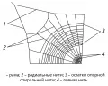 Фрагмент колесовидной ловчей сети паука