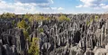 Цинги на плато Бемараха (Мадагаскар)