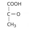 Структурная формула пировиноградой кислоты