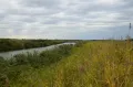 Река Еруслан (Саратовская область)