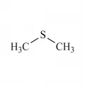 Структурная формула диметилсульфида