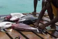 Кабо-Верде. Ловля тунца на острове Сал
