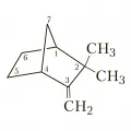 Структурная формула камфена