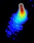Радиоизображение лацертиды BL Ящерицы, полученное по данным MOJAVE