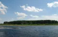 Сосновый бор на берегу озера Кипец. Воронинский заповедник