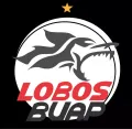  Эмблема футбольного клуба «Лобос БУАП»