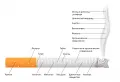 Схематическое изображение сигареты с указанием некоторых веществ, входящих в её состав, а также содержащихся в дыме