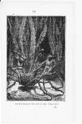Чудовищный морской паук. Гравюра Анри Теофиля Хильдибранда по рисунку Альфонса де Нёвиля