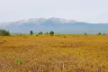 Забайкальский национальный парк. Чивыркуйский перешеек (Республика Бурятия)