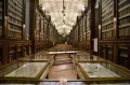 Библиотека Палатина. Парма (Италия)