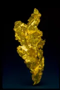Тонколистоватое самородное золото (округ Туоламне, штат Калифорния, США)