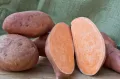 Батат (Ipomoea batatas). Плод